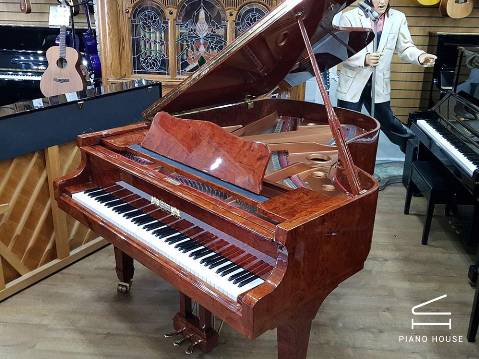 Hiếm」Đàn Grand Piano Gebr.Perzina GP186 - Màu Gỗ Bubinga - Thương